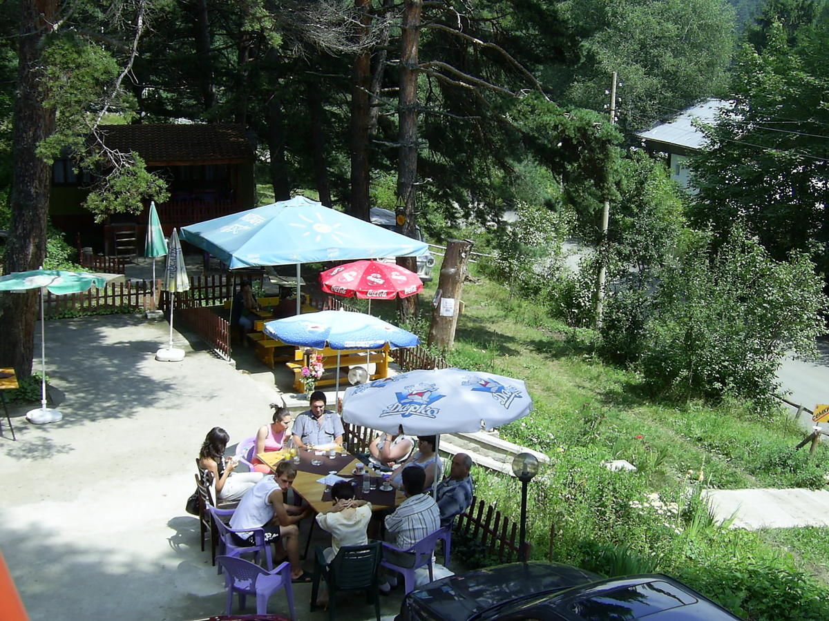 Гостевой дом Family Hotel Shisharka Батак-36